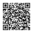    " Flash Blackberry ()"  