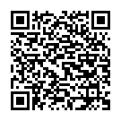    " Fun Factory UFO,  "  